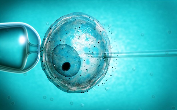 Embrione con due madri: una segreta 1