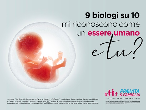 manifesto provita e famiglia embrione nove biologi su dieci semplicemente umano