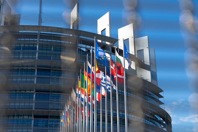 Tra pochi giorni il Parlamento Europeo voterà sull’aborto. Cosa significa e possibili scenari 1