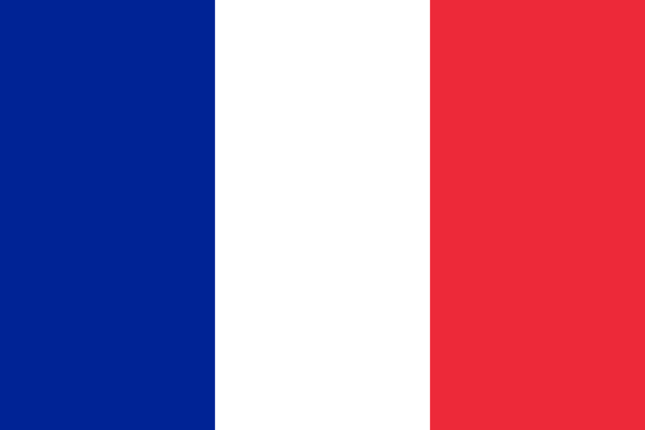 bandiera-Francia_utero-in-affitto