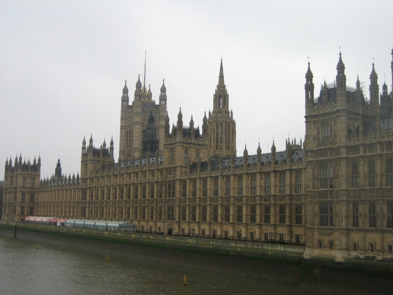 Parlamento-inglese_down_aborto