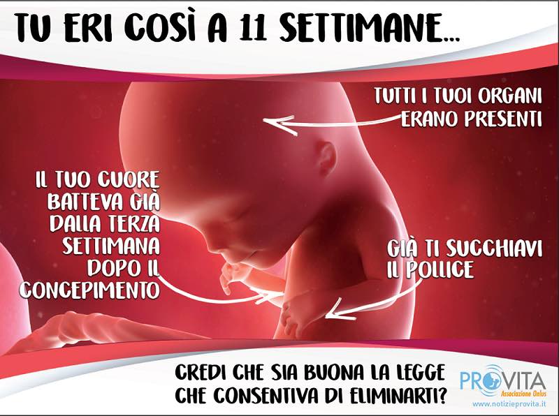 Vela_3_aborto_bambino_legge_vita_ProVita