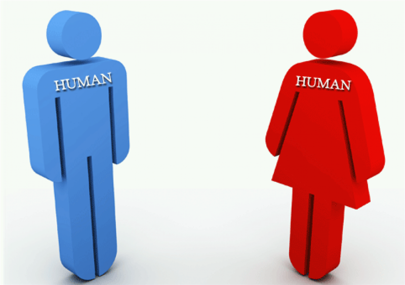 La teoria del gender: per l’uomo o contro l’uomo? 1
