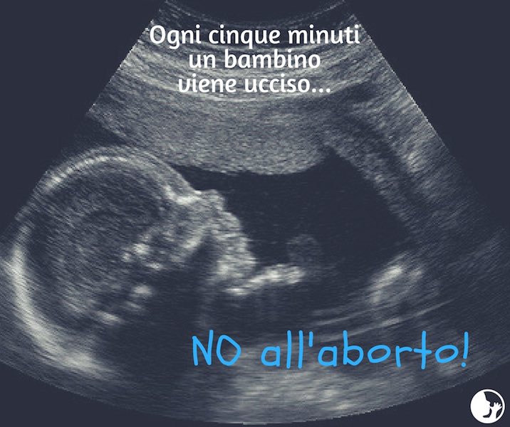 aborto_ProVita_vita_2017