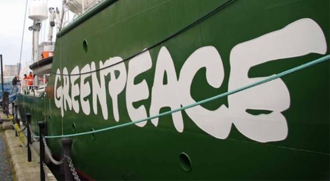 Pasionaria pro-aborto: dalle navi di Greenpeace all’aborto via web 1