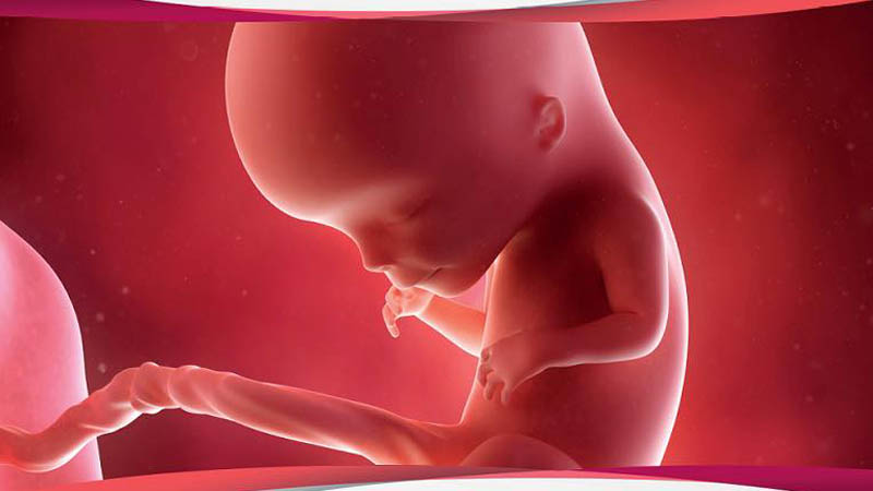 bambino-feto-aborto-gravidanza-parto