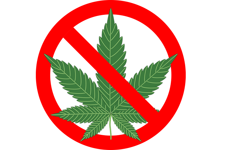 cannabis_droga_buona-notizia