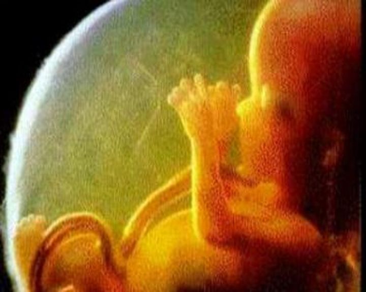 embrione umano_petizione_Uno di noi_aborto