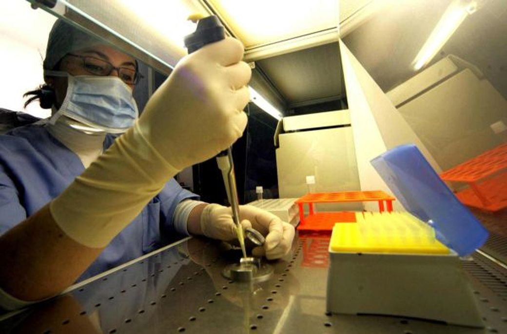 Francia si appresta a deliberalizzare la ricerca sugli embrioni umani 1