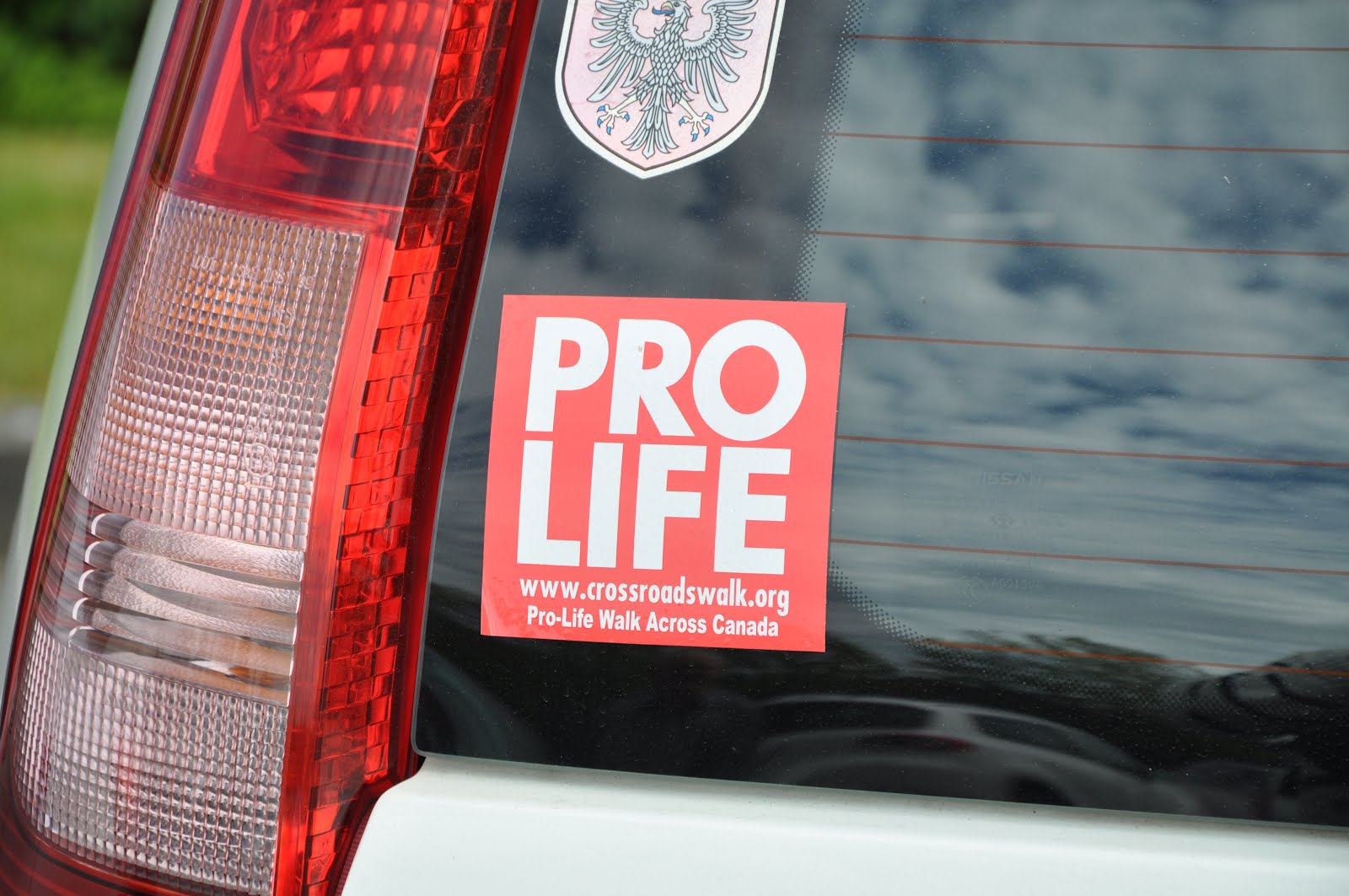 Ancora violenza e vandalismo contro i pro-life 1