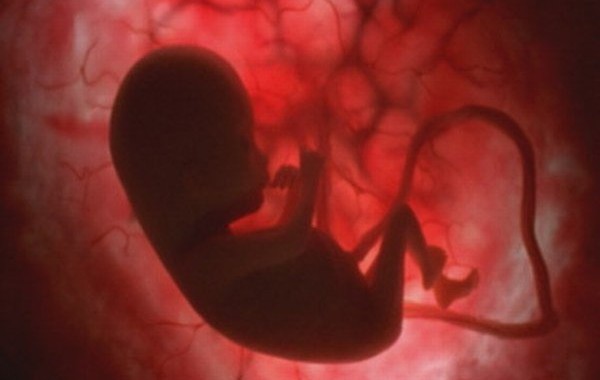 Documentario sull’aborto 1