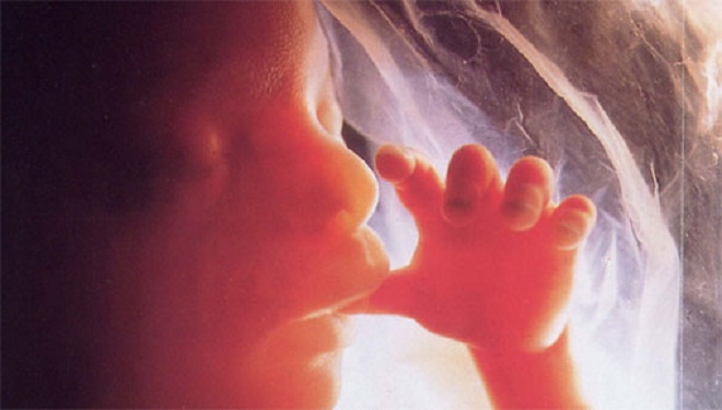 vita_aborto